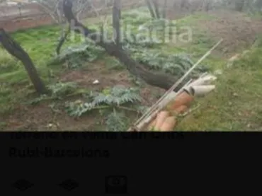 Terreno Residencial en  Avinguda de Can Rosés 1 - Foto 4