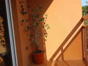 Piso en  Carrer de l'Escultor Mora Cirujeda 8 - Foto 6