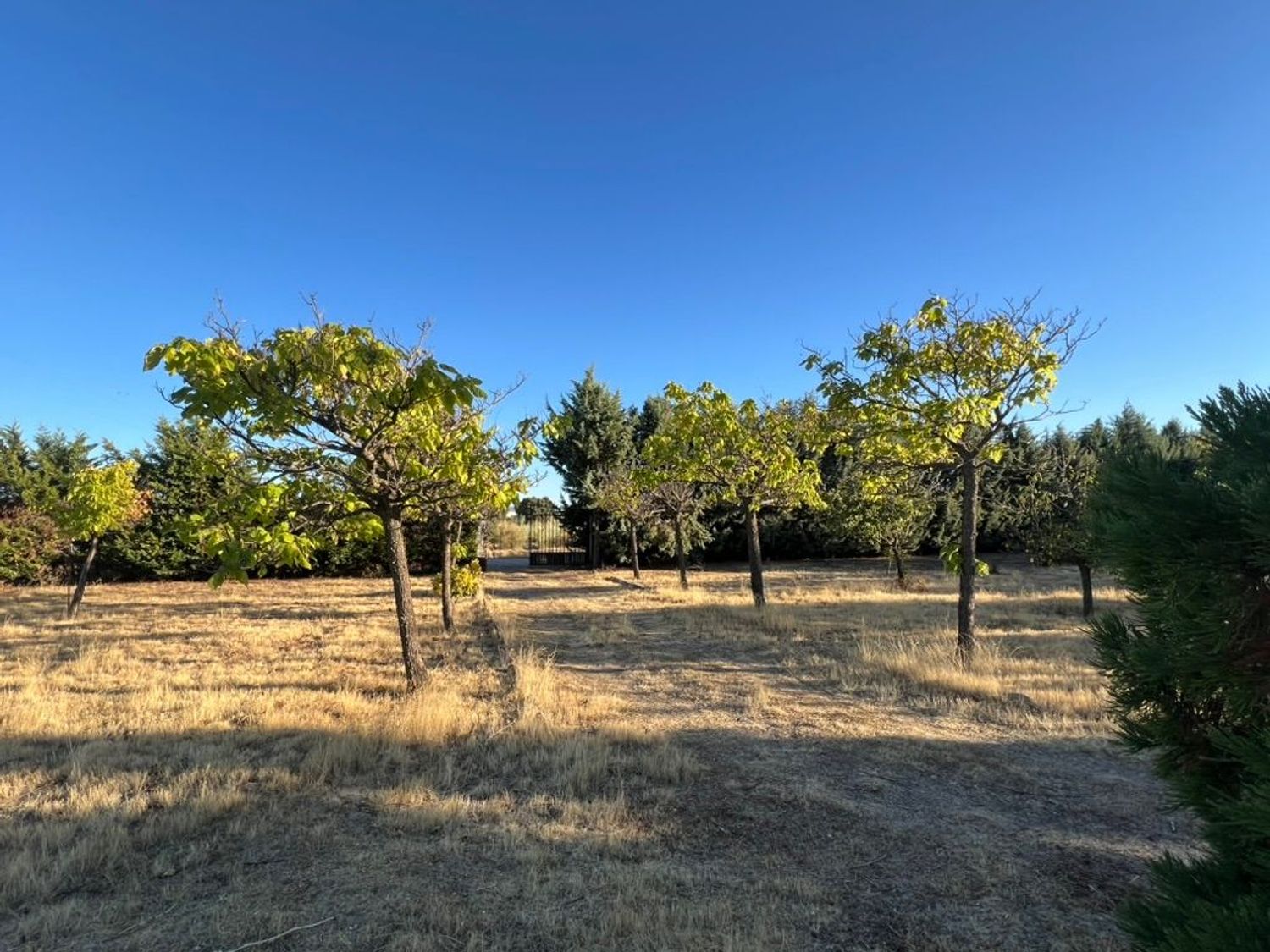 Casa rural en N-6, 100 Km - Foto 8