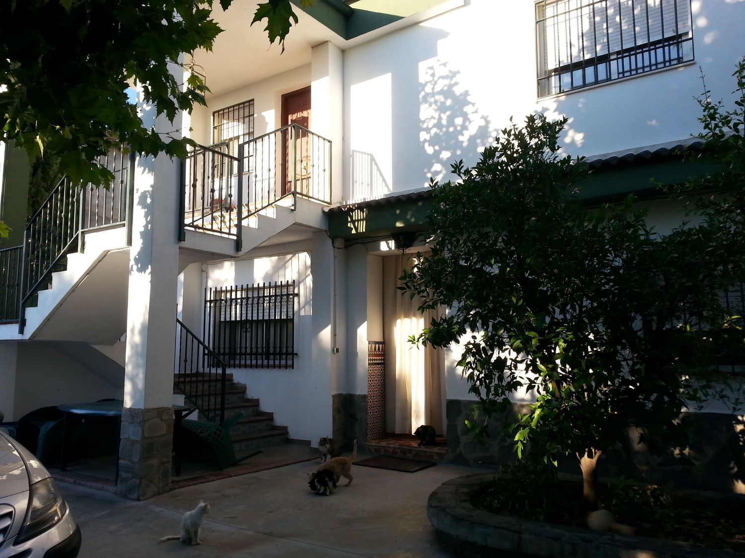 Casa o chalet independiente en Camino del jueves, 4 - Foto 3