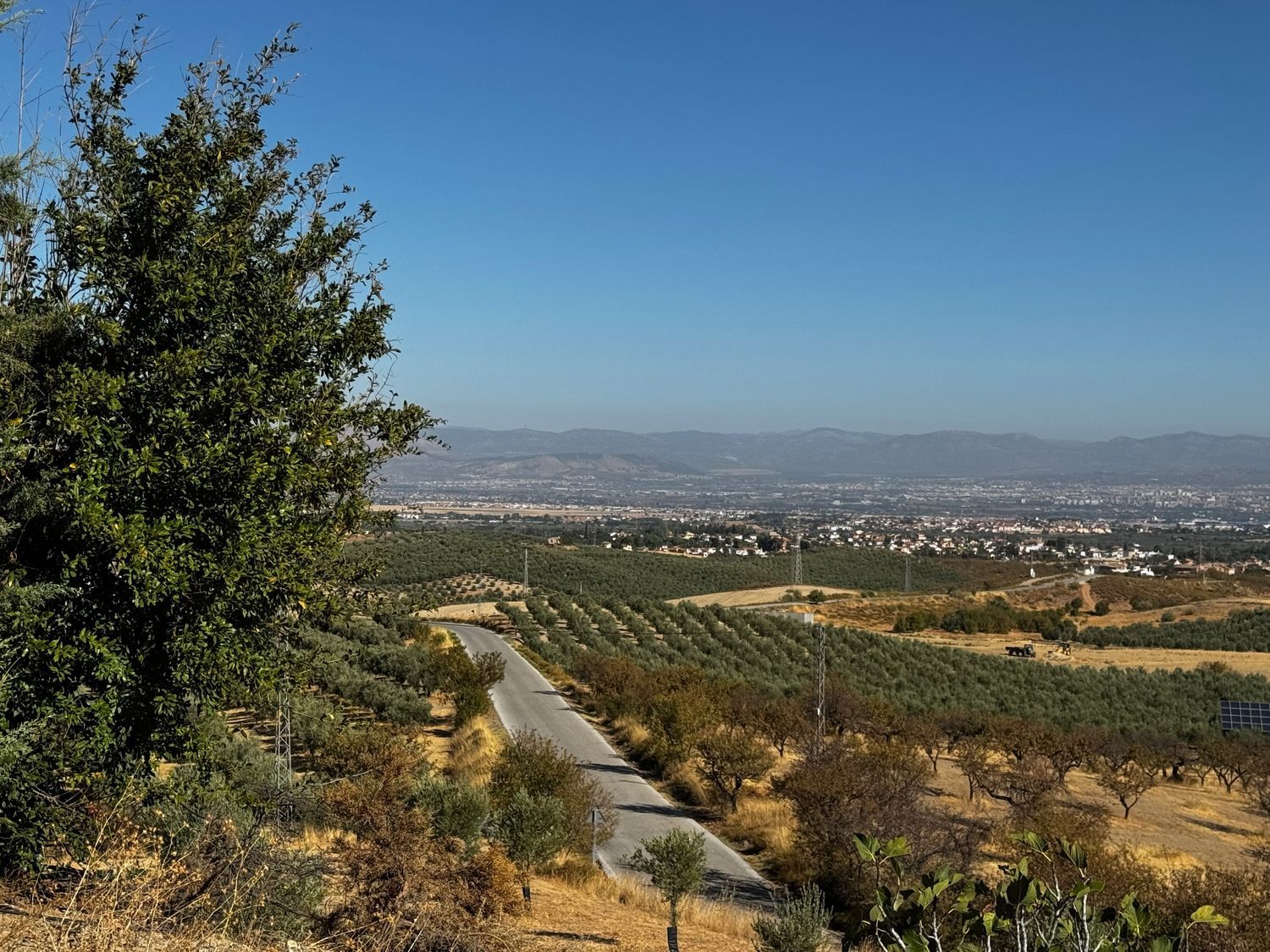 Finca rústica en Arroyo de la Calera 18152 s/n - Foto 34