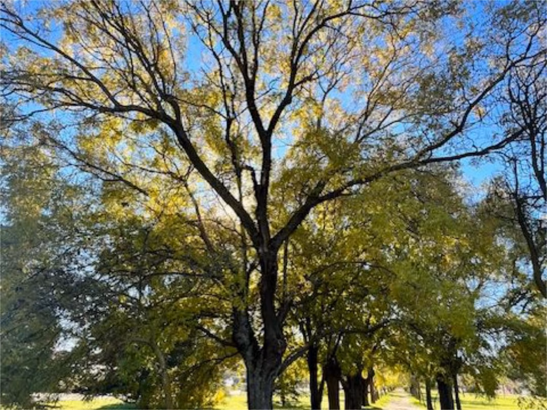 Chalet en Majadahonda - Foto 5