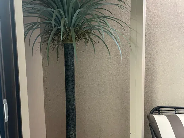 Dúplex en calle de Enrique Calabia, 6 - Foto 30