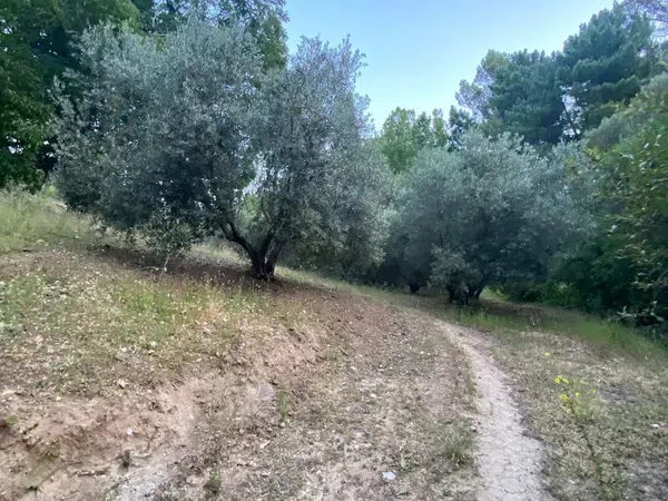 Finca rústica en Sn s/n - Foto 21