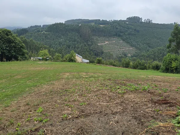 Finca rústica en Lugar bouzamaior s/n - Foto 12