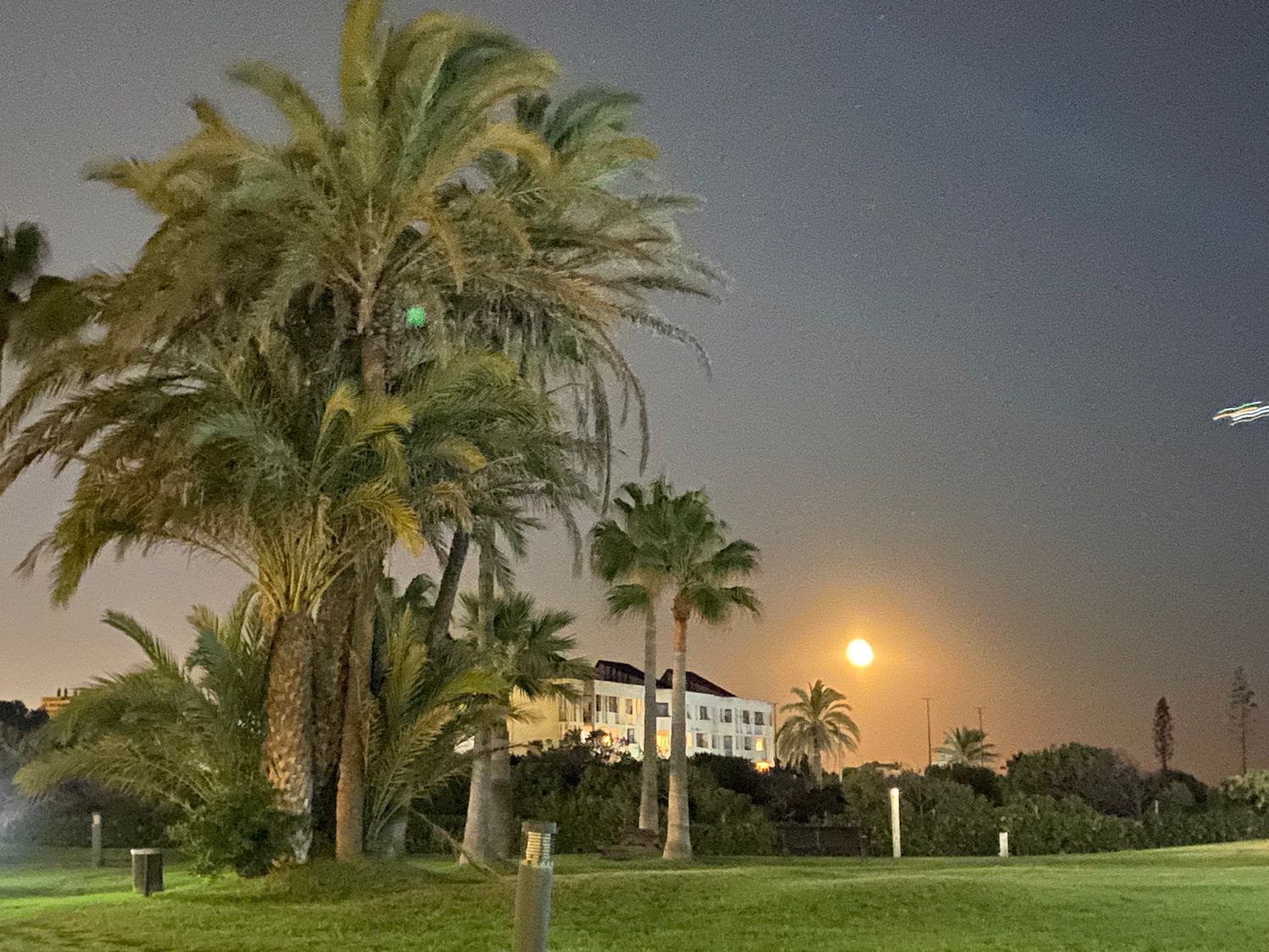 Piso en calle dels Tellinaires, 18 - Foto 23