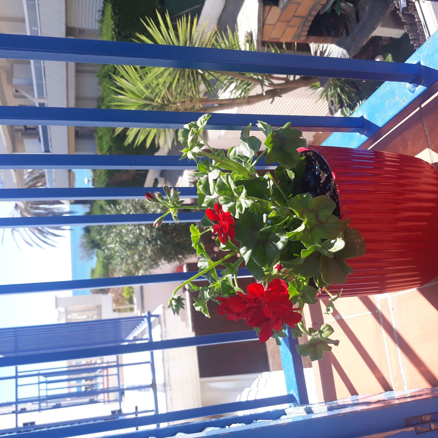 Chalet pareado en Avenida Costa Iberia, 2 - Foto 7