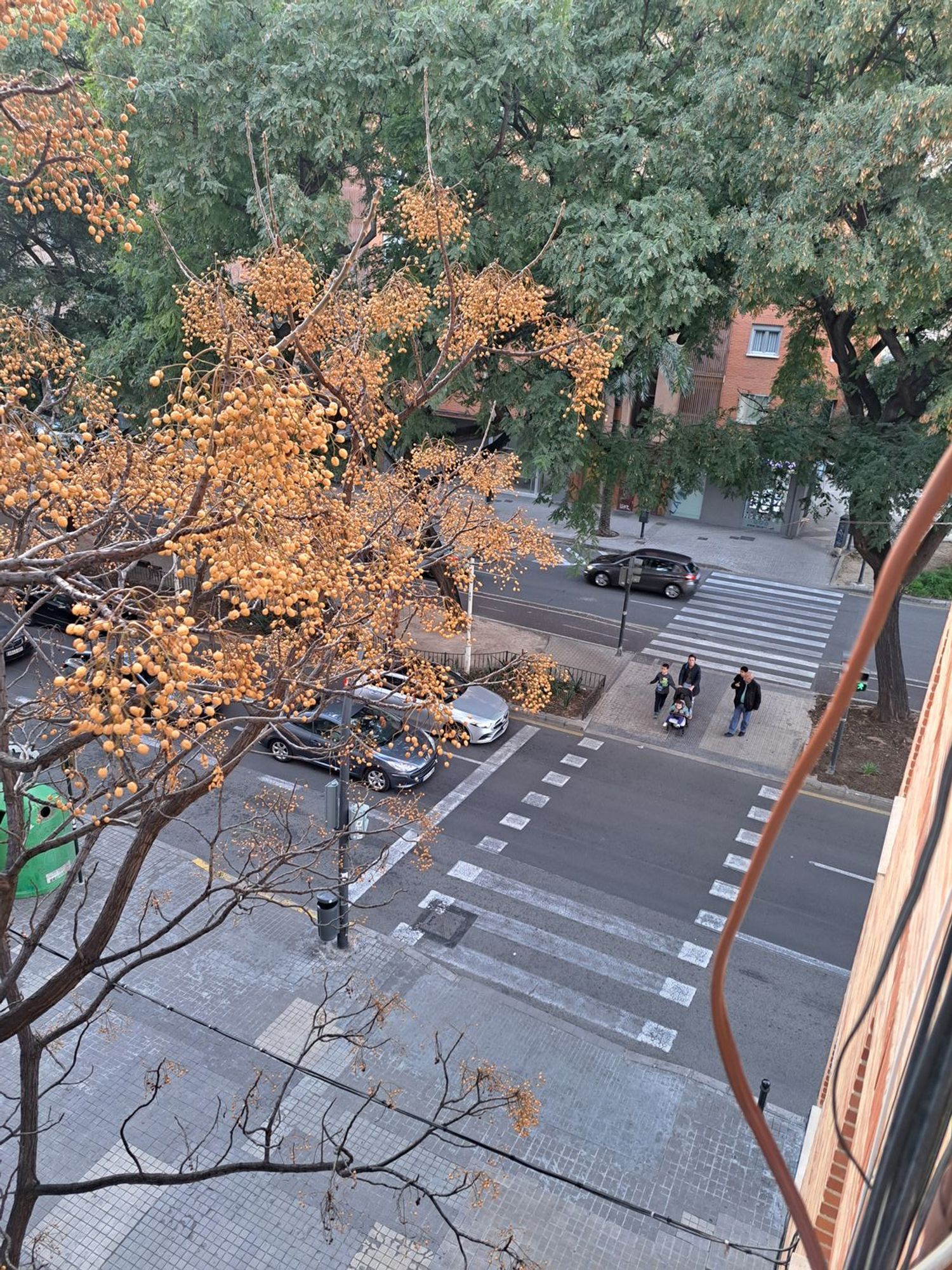 Piso en Av Blasco Ibáñez, Ciutat Jardí - Foto 49