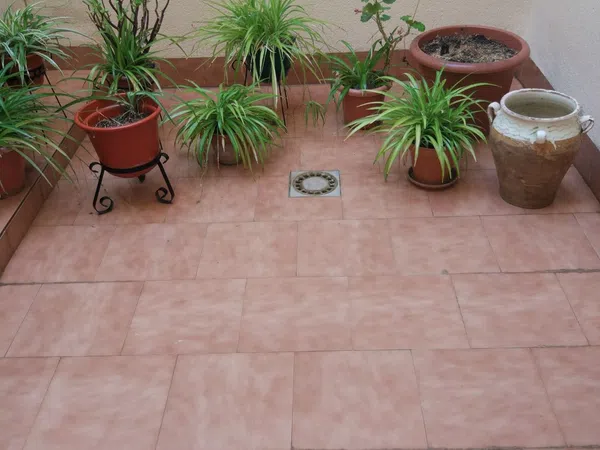 Piso en Calle Cervantes s/n - Foto 22