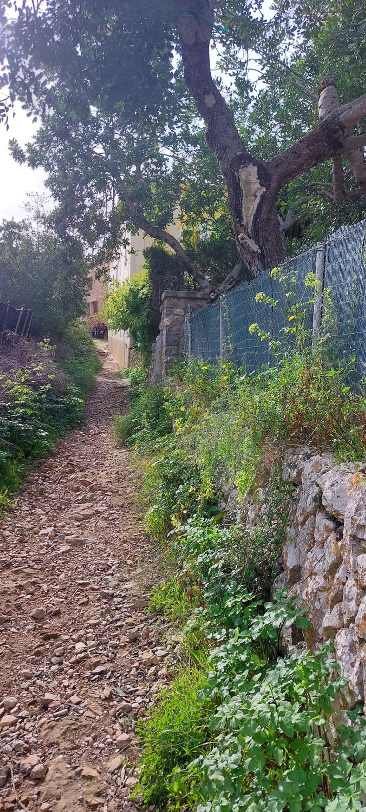 Casa de pueblo en Diseminados 76 Polígono 7, 76 - Foto 4