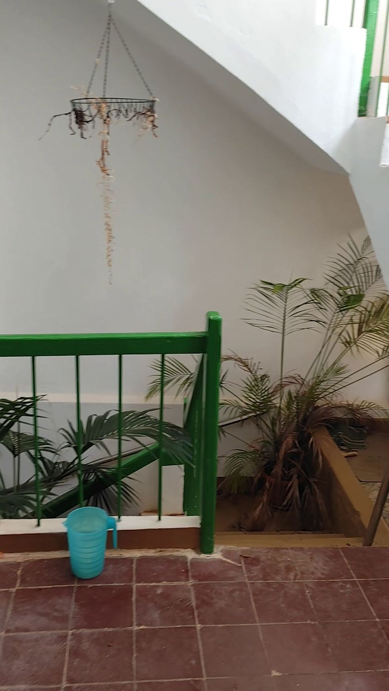 Casa o chalet independiente en Calle Francisco Pérez Ramírez, 57, Ingenio, Ingenio - Foto 5