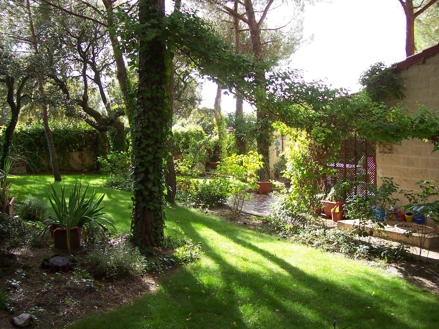 Casa o chalet independiente en Calle Sierra, 9 - Foto 3