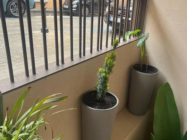 Dúplex en calle de Enrique Calabia, 6 - Foto 12