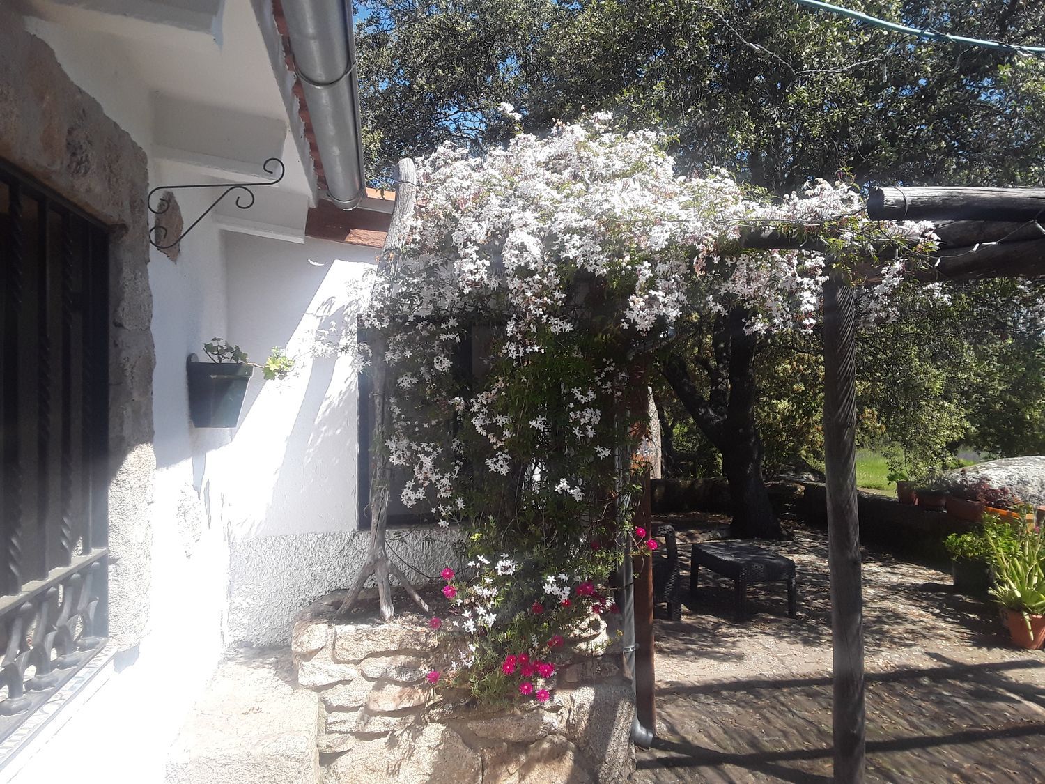 Casa o chalet independiente en Camino de Ayuela s/n - Foto 33