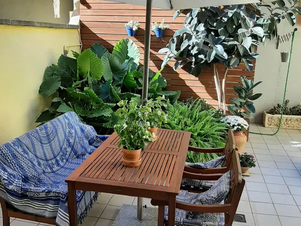 Piso en Calle Mossèn Molé, 29, Rocafonda, Rocafonda - Foto 2