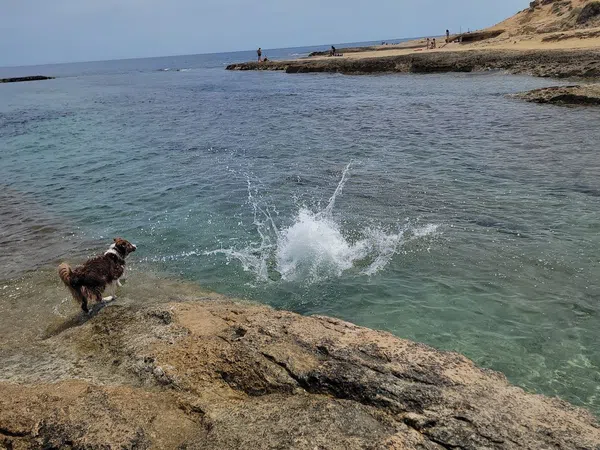 Piso en avenida Benidorm, 18 - Foto 14