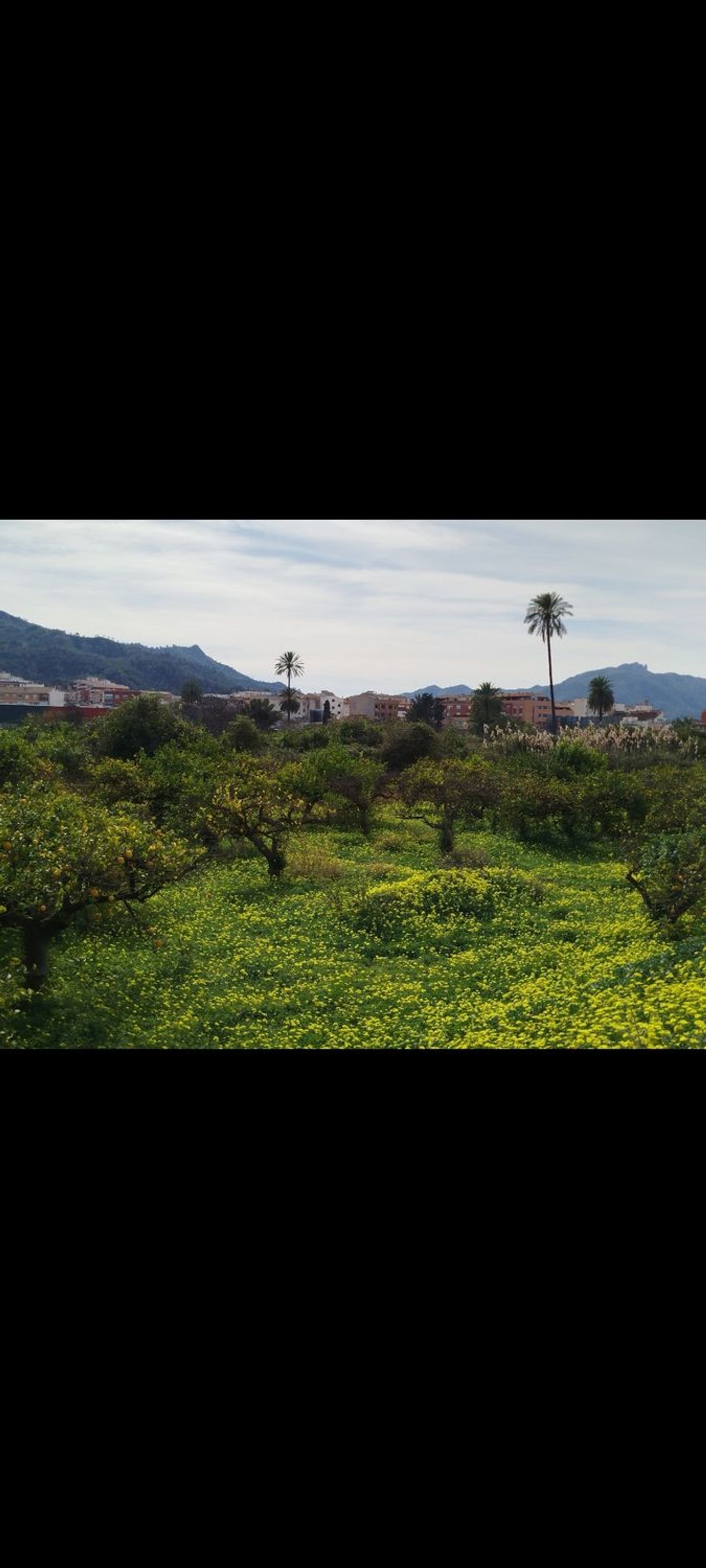 Dúplex en avenida de San Javier, 19 - Foto 31