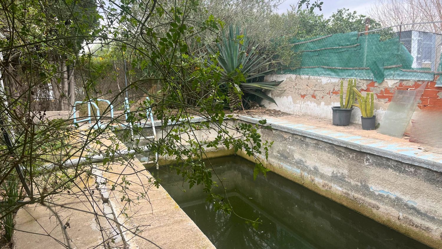 Casa independiente en Diseminado Mundo Nuevo, 19 a - Foto 6