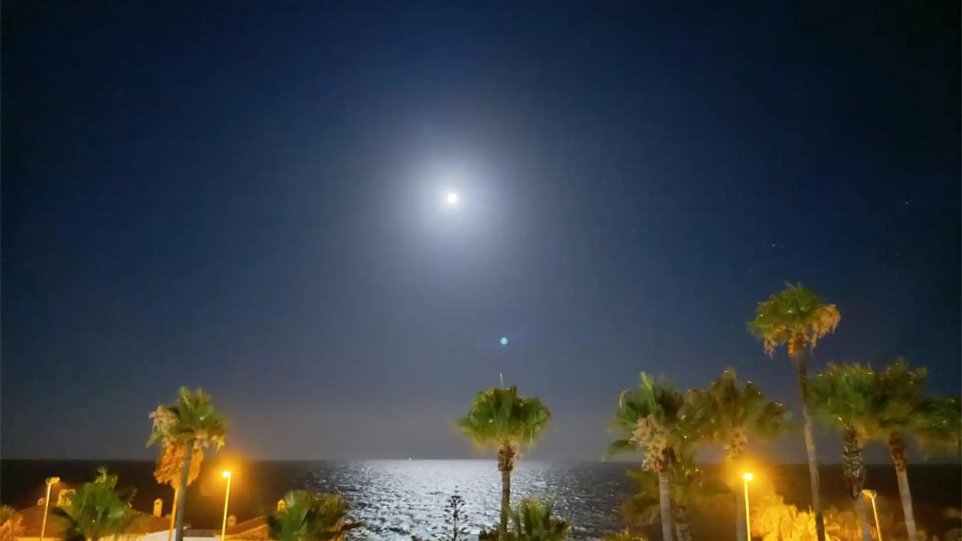 Piso en  Calle Catalpa 3 - Foto 4