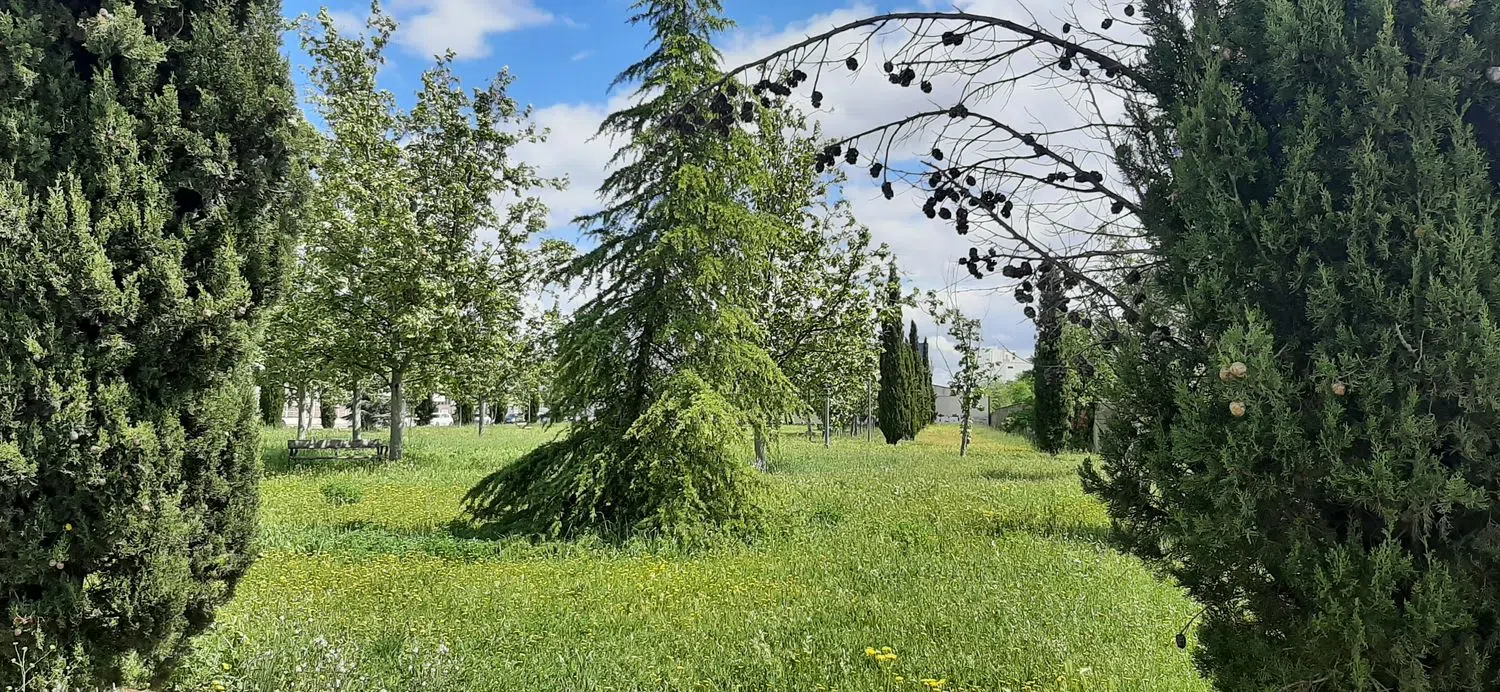 Ático en calle Argentina, 19 - Foto 27
