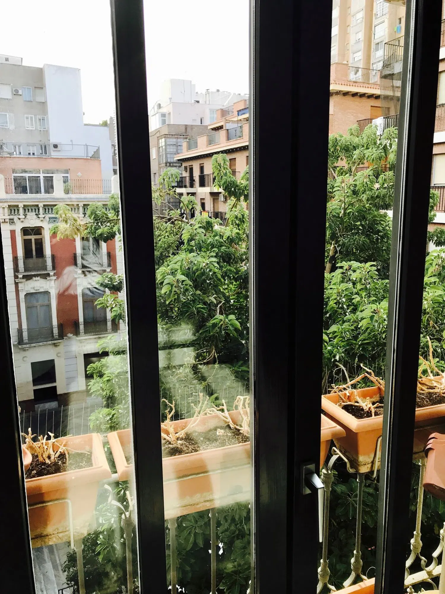 Piso en Abogado Felipe Ortega, 1 - Foto 4