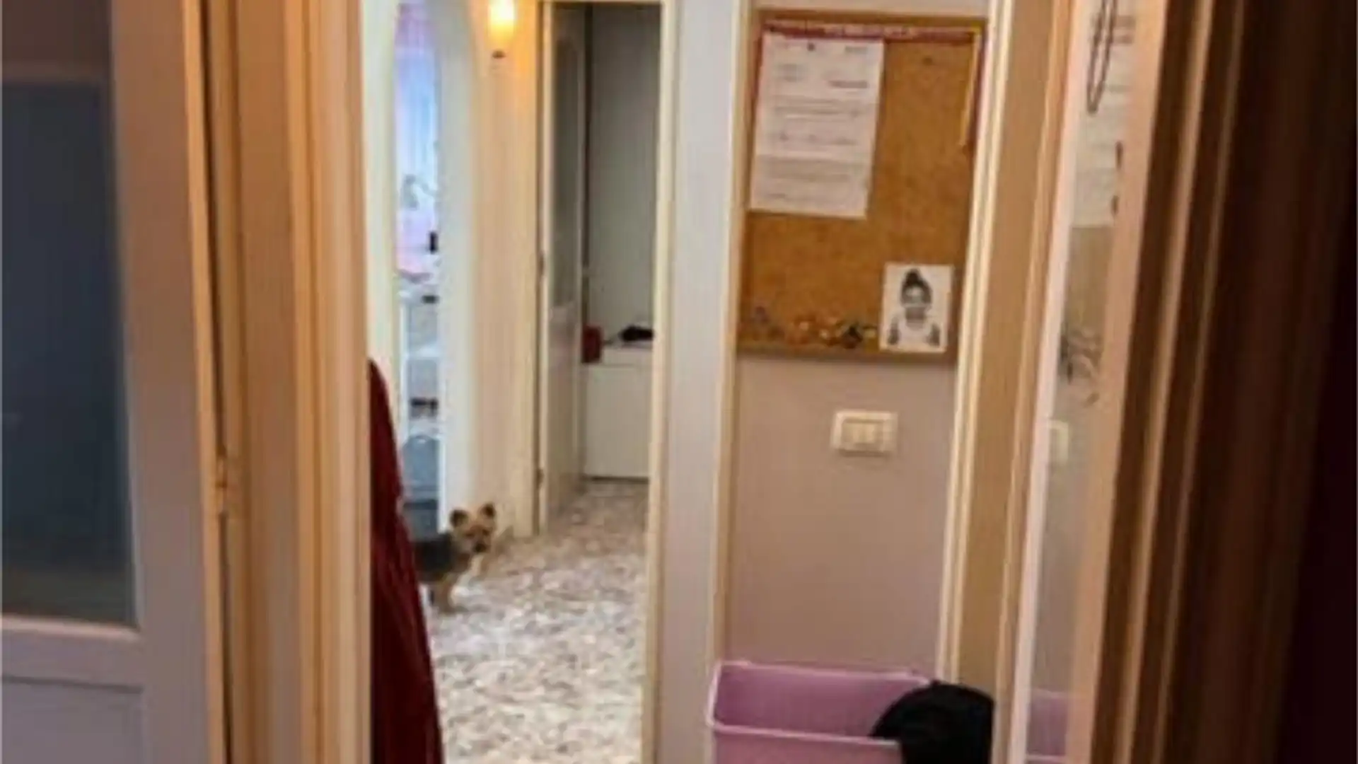 Piso en La Garita - Foto 5