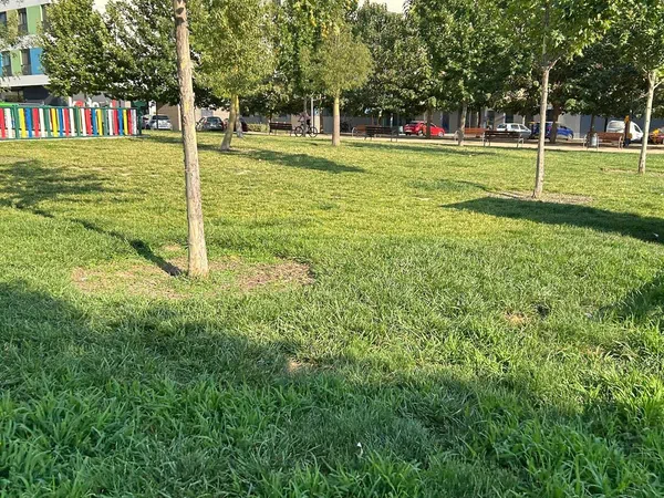 Piso en Circunvalación Encina, 20, La Chana, La Chana - Foto 26