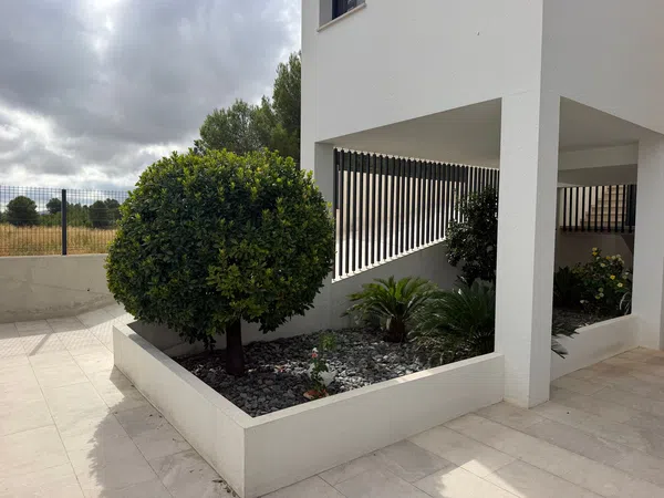 Casa o chalet independiente en Calle Dolores López Martínez, 3 - Foto 13