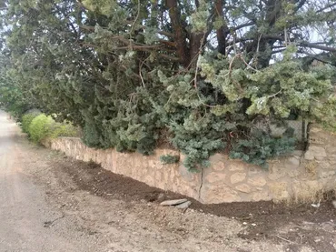 Piso en  Camino de la Acacia 7 - Foto 4