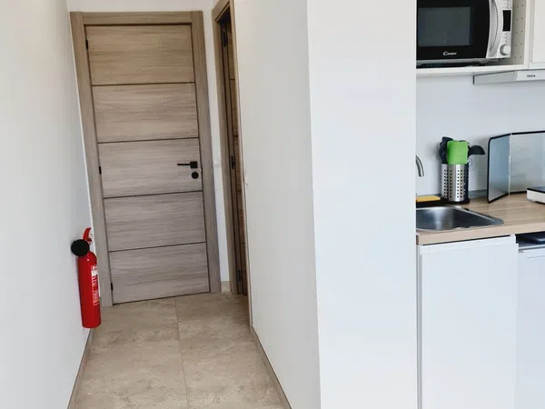 Estudio en abetos, 34 - Foto 5