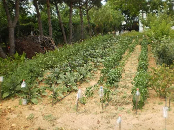 Cortijo en Ba-012 s/n - Foto 10