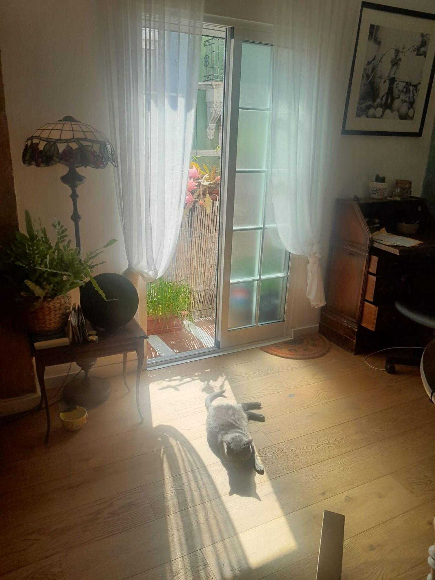 Loft en Calle del Progrés, 2, El Cabanyal-El Canyamelar - Foto 2