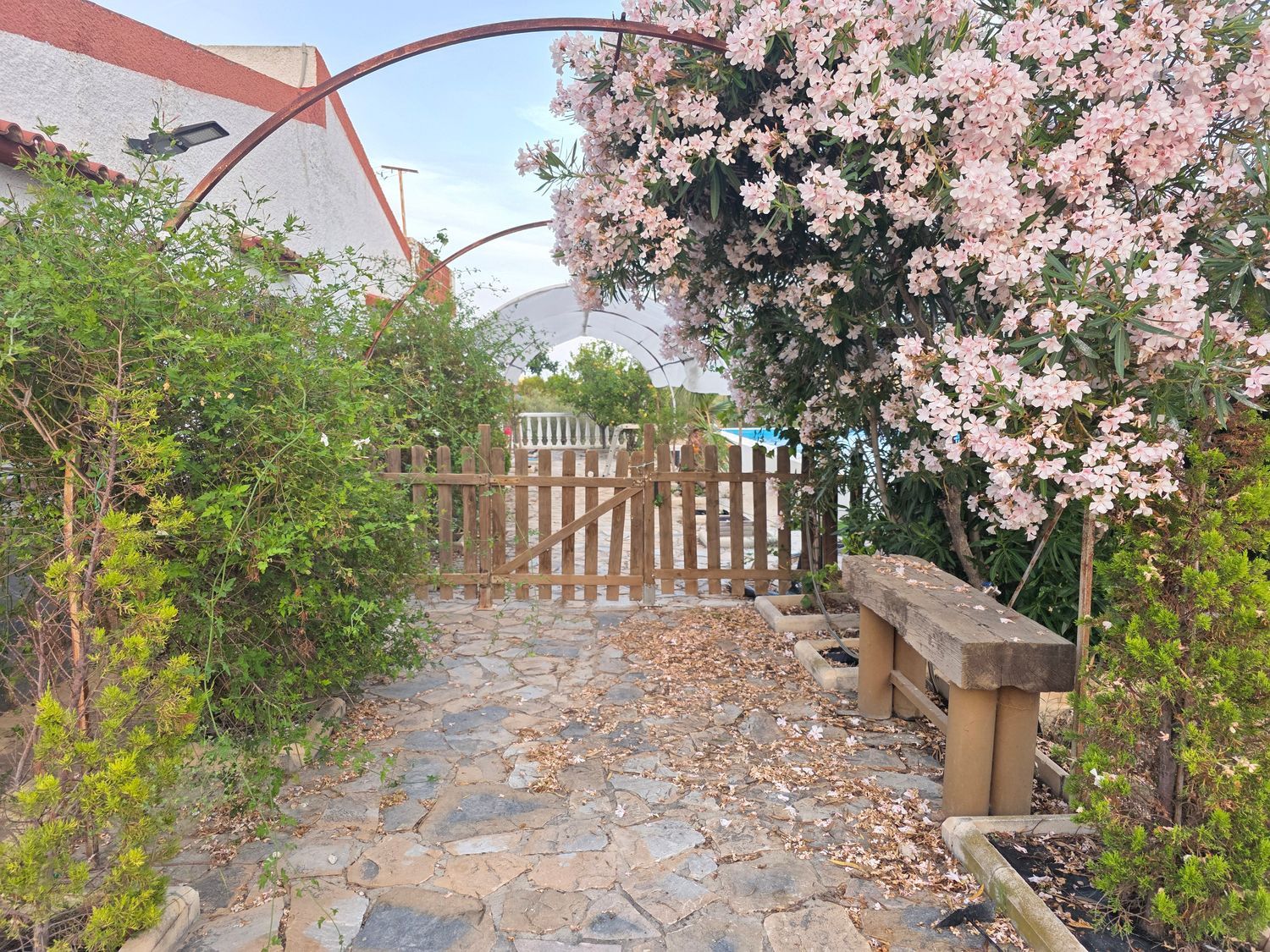 Casa o chalet independiente en Partida Collao, 47, La Huerta, La Huerta - Foto 8