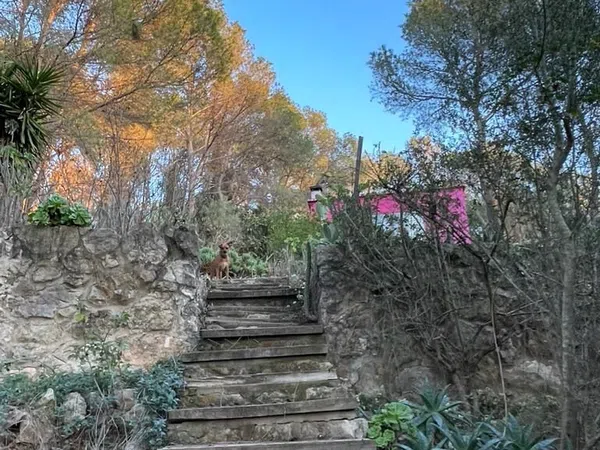 Casa terrera en calle roca s/n Sn - Foto 5