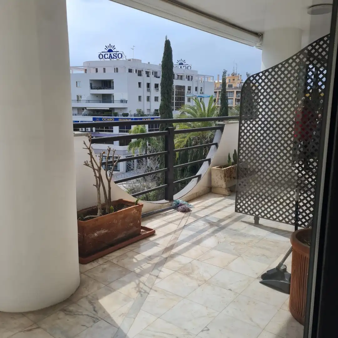 Apartamento en  Avenida Ricardo Soriano 63 - Foto 12