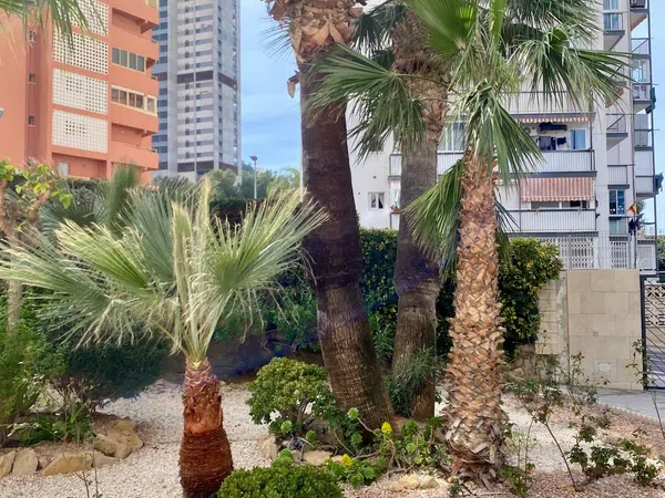 Piso en calle de Viena, 1 - Foto 11