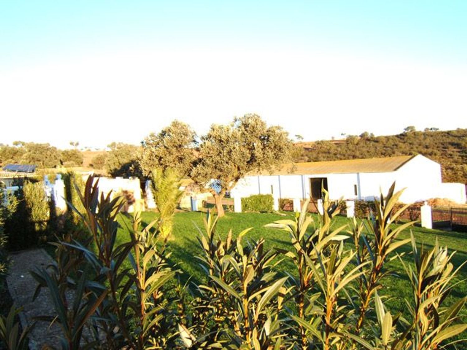 Finca rústica en Travesía Reyes Huertas s/n - Foto 4