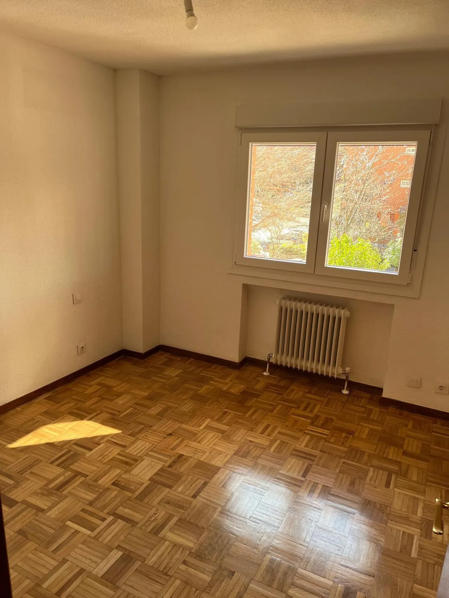 Piso en Sector Pintores, 33 - Foto 20