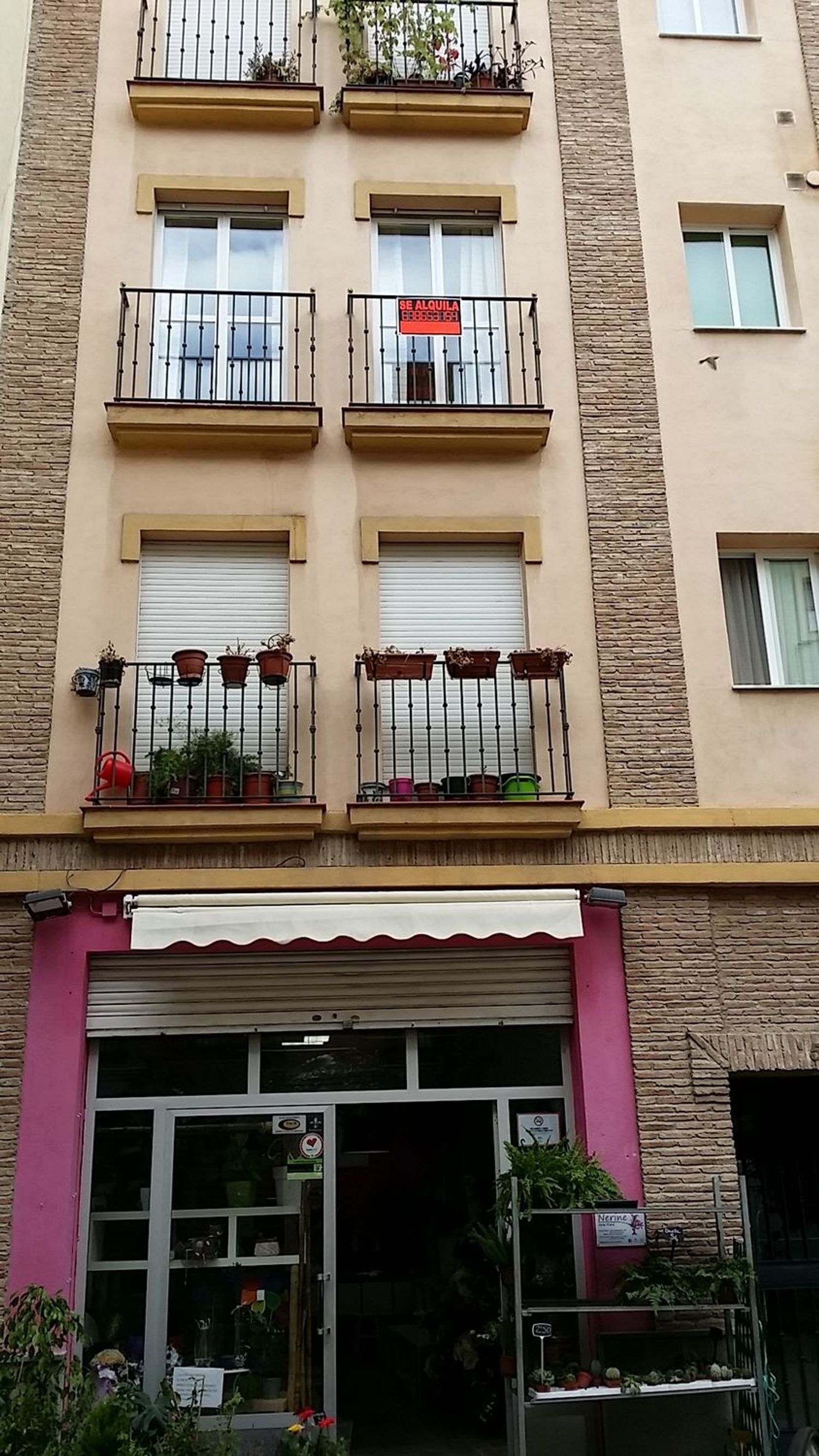 Piso en Nueva de la Virgen, 5, Figares, Figares - Foto 5