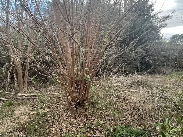 Casa independiente en Diseminado Mundo Nuevo, 19 a - Foto 10