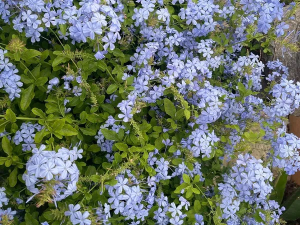 Piso en calle Casares del Sol, 14 - Foto 34