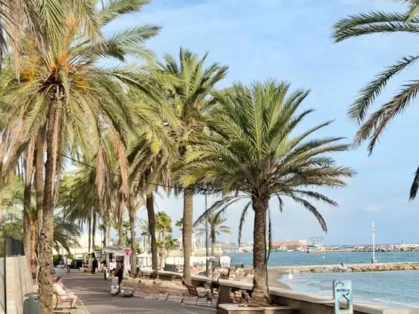Piso en Avenida Severo Ochoa, 20, Playa Bajadilla-Puertos - Foto 21