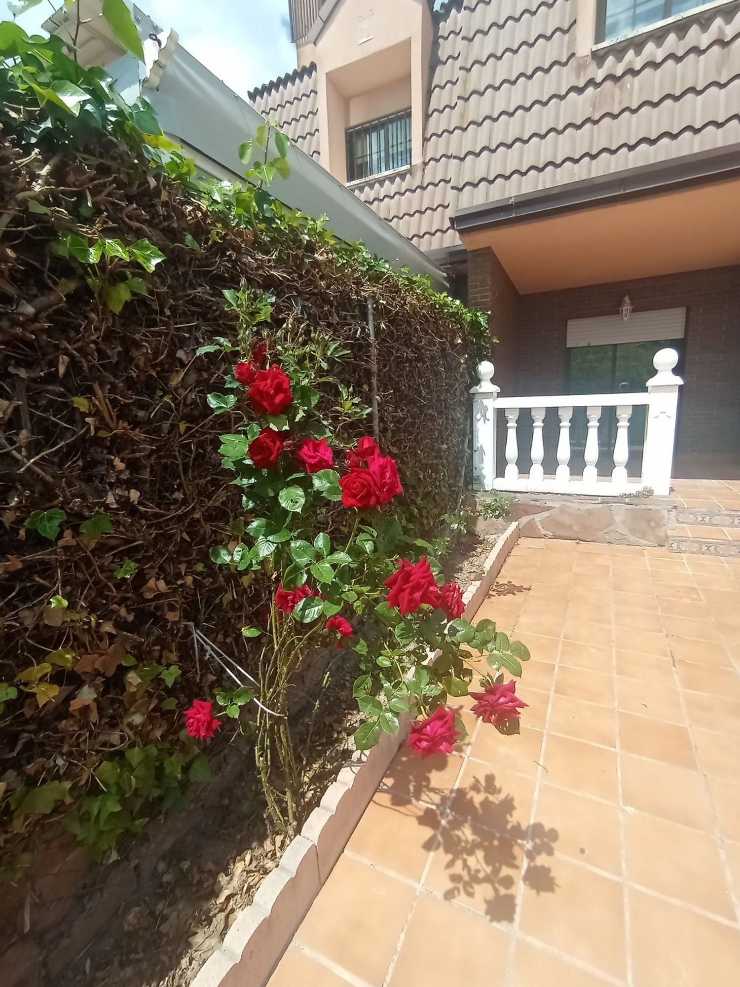 Chalet adosado en Joaquín Fernández Cuervo, 16 - Foto 18