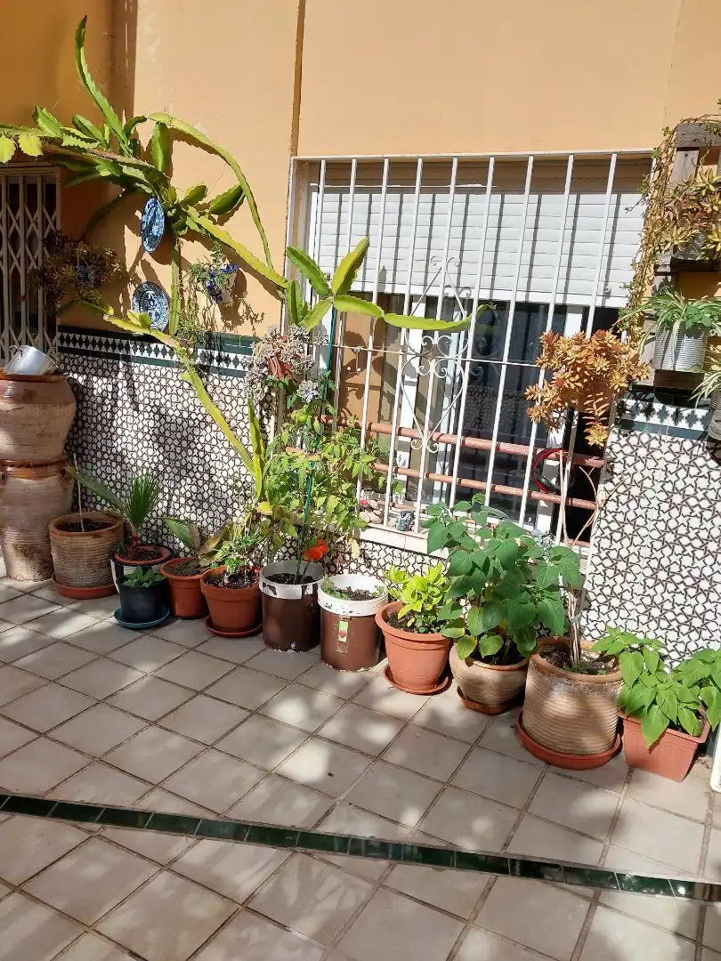 Piso en  Calle Martínez Maldonado 66 - Foto 18