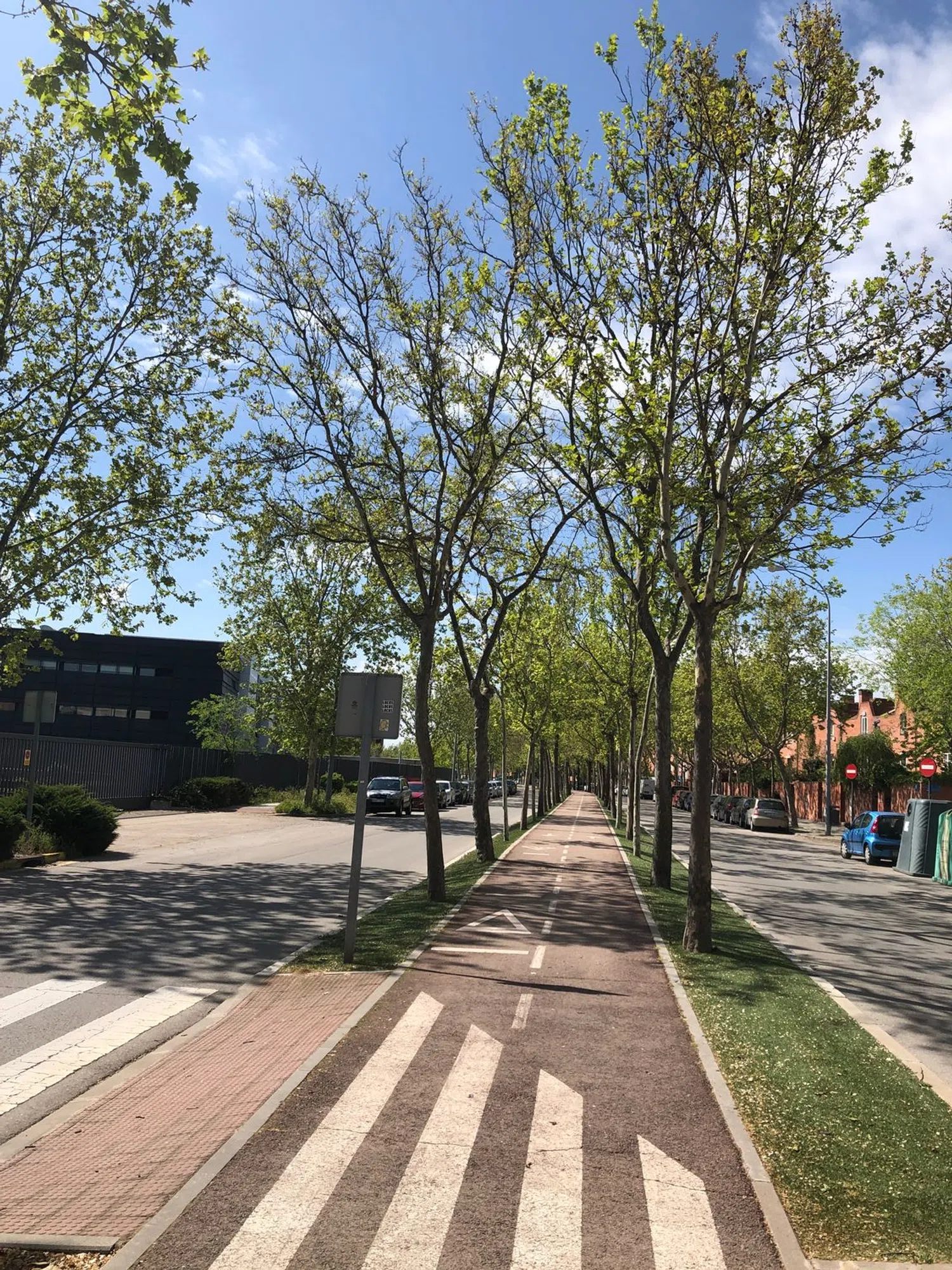 Estudio en avenida de los Artesanos, 16 - Foto 23