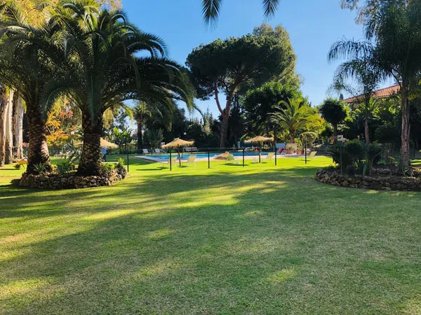 Estudio en Lugar Urbanizacion Fuentes del Rodeo, 225 D - Foto 2