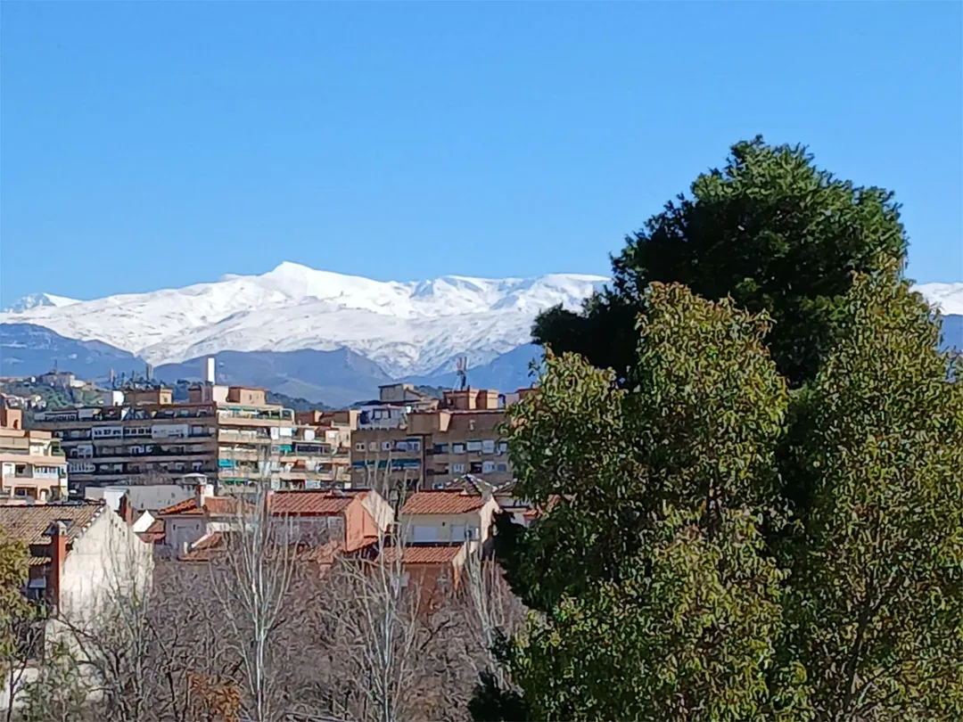 Piso en  Avenida Federico García Lorca 2 - Foto 5