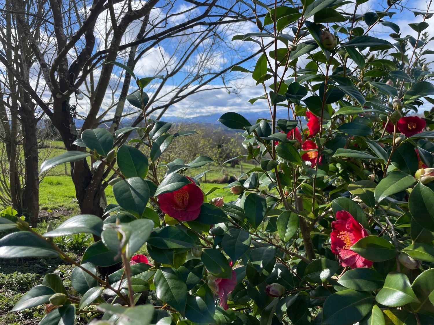 Casa de pueblo en Aldea Castiello, 57 - Foto 36