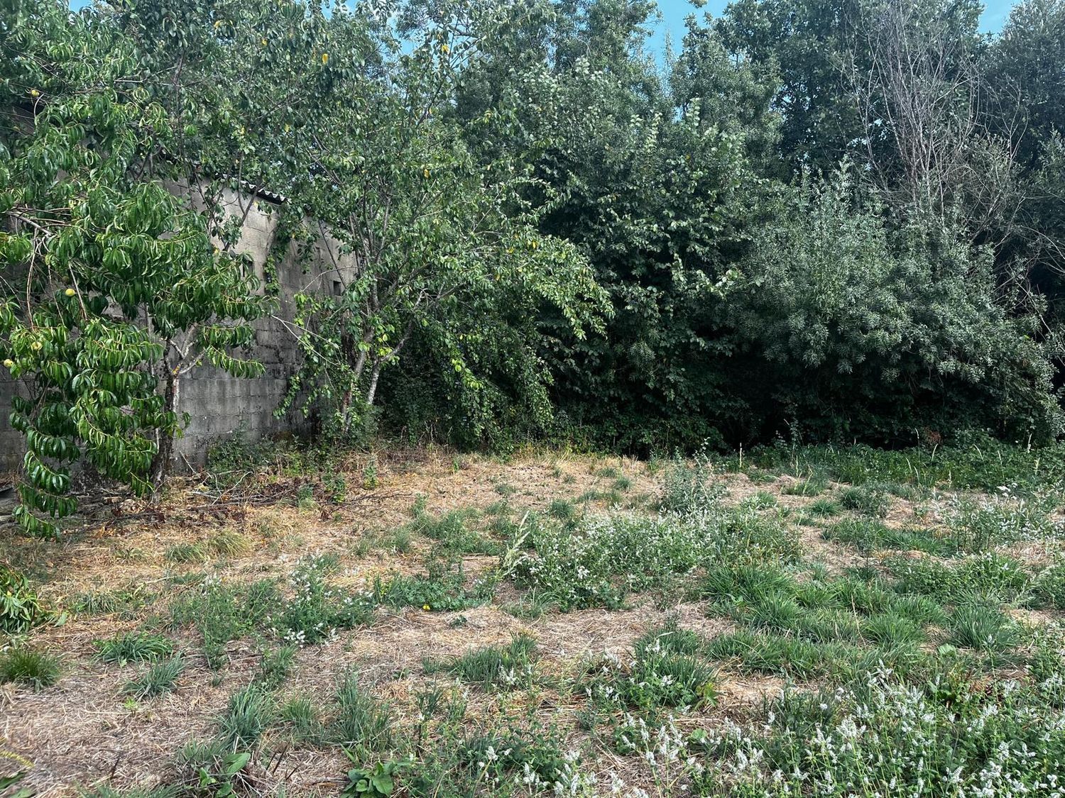Finca rústica en Calle a canella, 5 - Foto 11