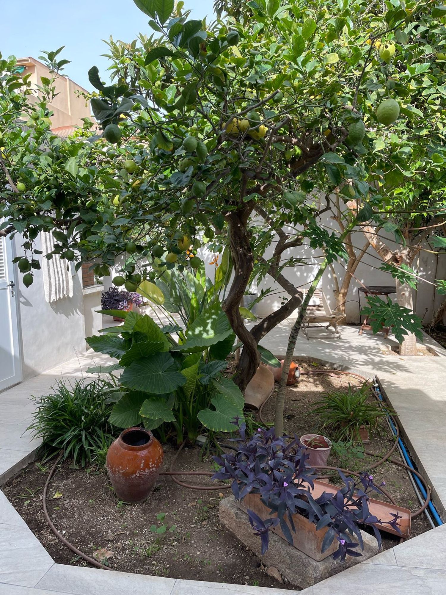 Casa independiente en calle de Llucmajor, 27 - Foto 4